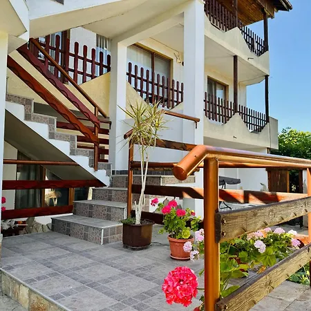 чайка بايالا