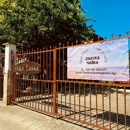 чайка * Byala (Varna)